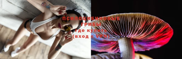a pvp Арсеньев