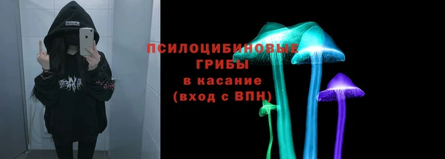 a pvp Арсеньев