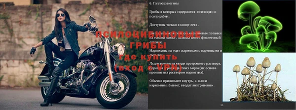 a pvp Арсеньев