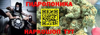 шишки Кинель