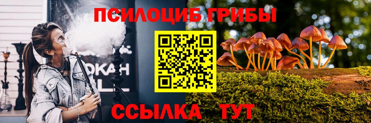 Галлюциногенные грибы Cubensis  Галлюциногенные грибы прущие грибы  Вход с VPN  Усть-Джегута 
